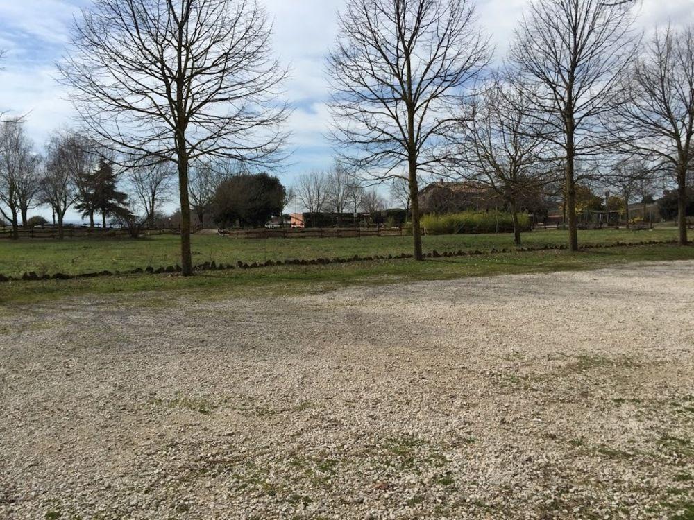 Agriturismo Monte Due Torri Genzano di Roma Dış mekan fotoğraf